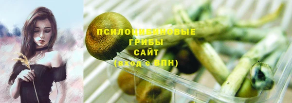 хмурый Богородицк
