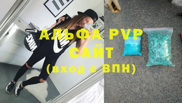 СК Богородск