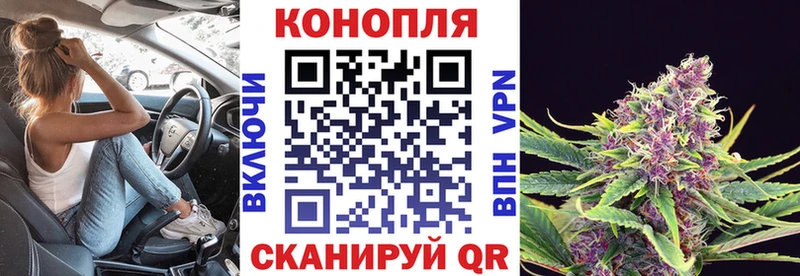 как найти Володарск ОМГ ОМГ как войти Марихуана White Widow